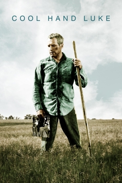 watch-Cool Hand Luke