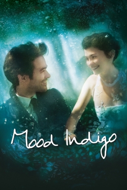 watch-Mood Indigo