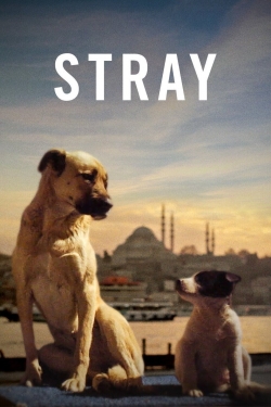 watch-Stray