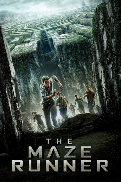 watch-The Maze Runner